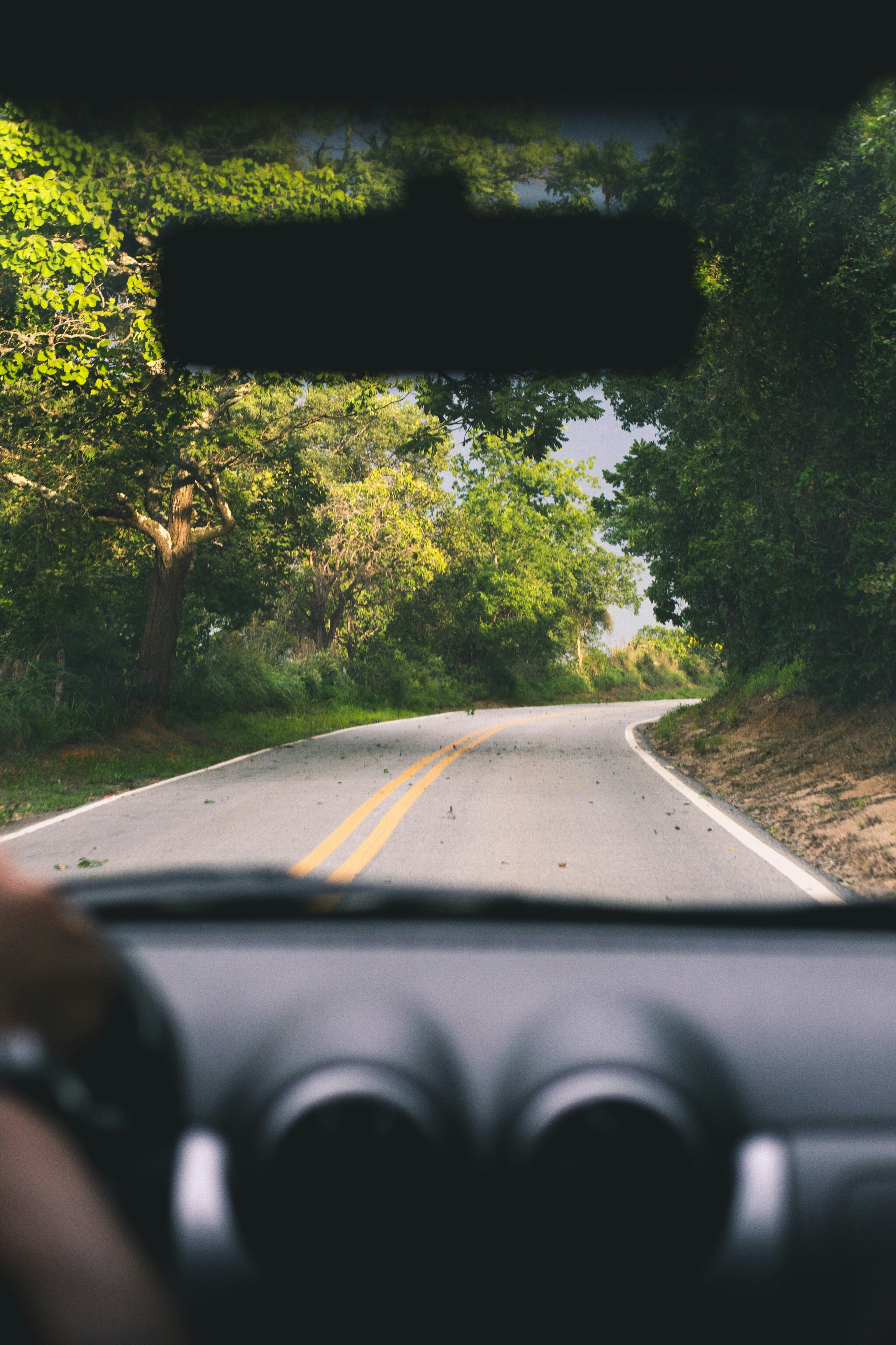 Open road winding through a green forest seen from inside a car